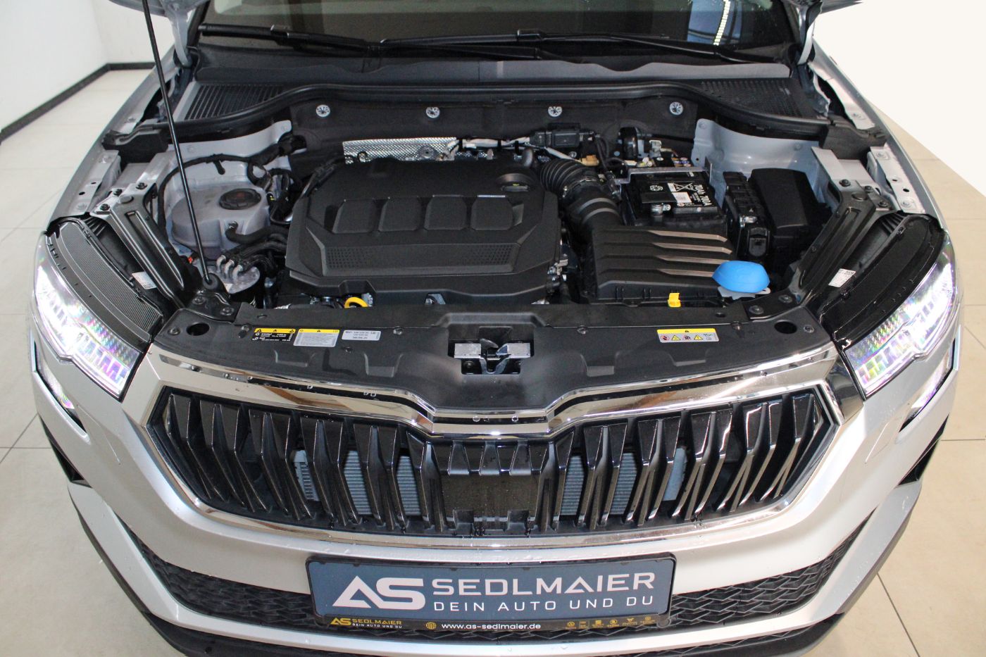 Skoda Karoq Bild 6