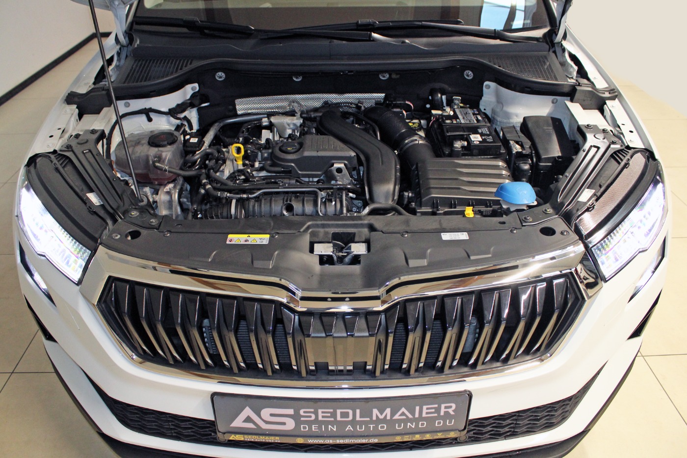 Skoda Karoq Bild 6