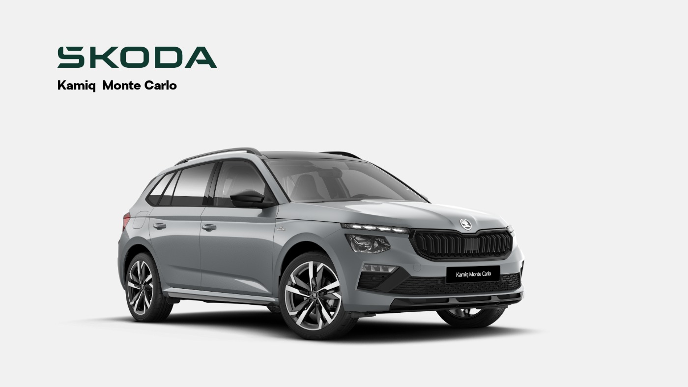 Skoda Kamiq Bild 1