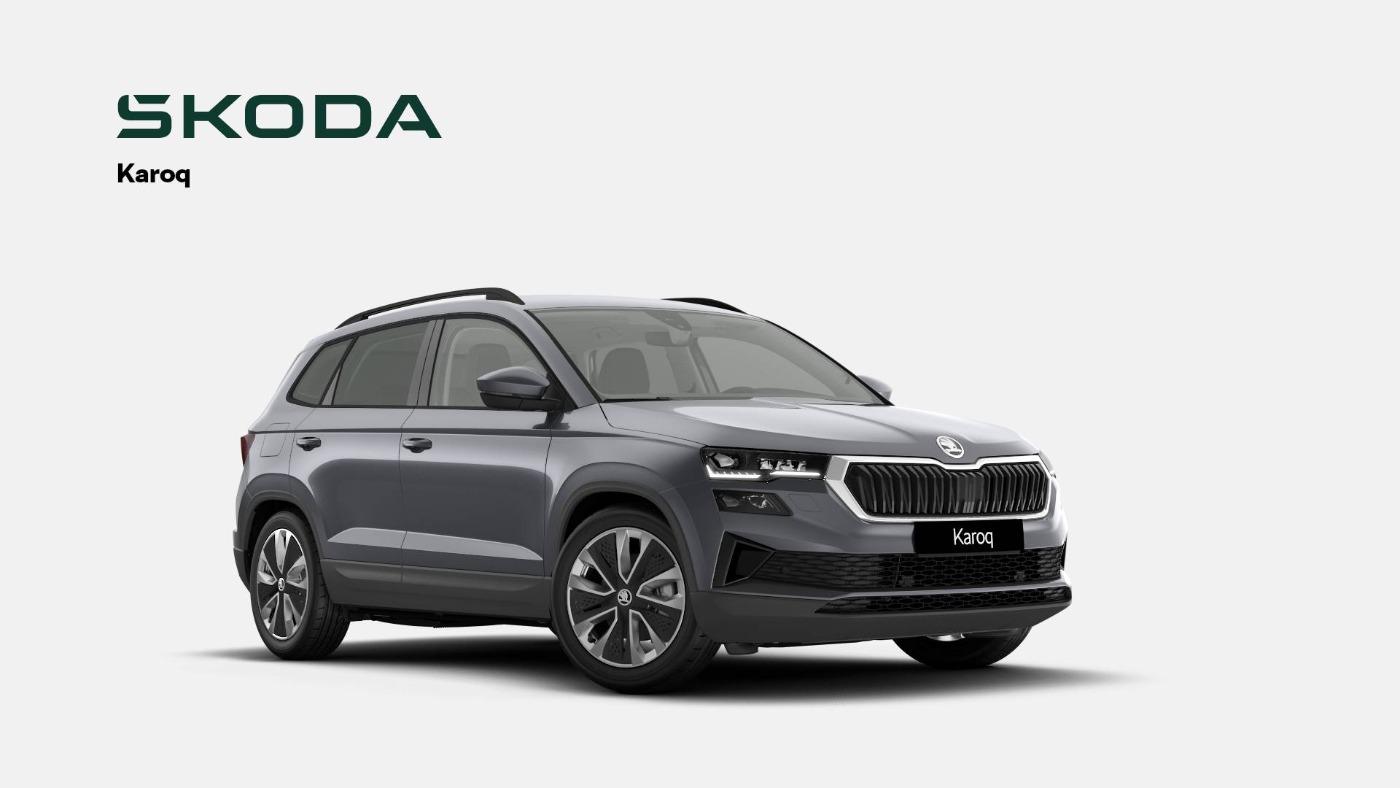 Skoda Karoq Bild 1