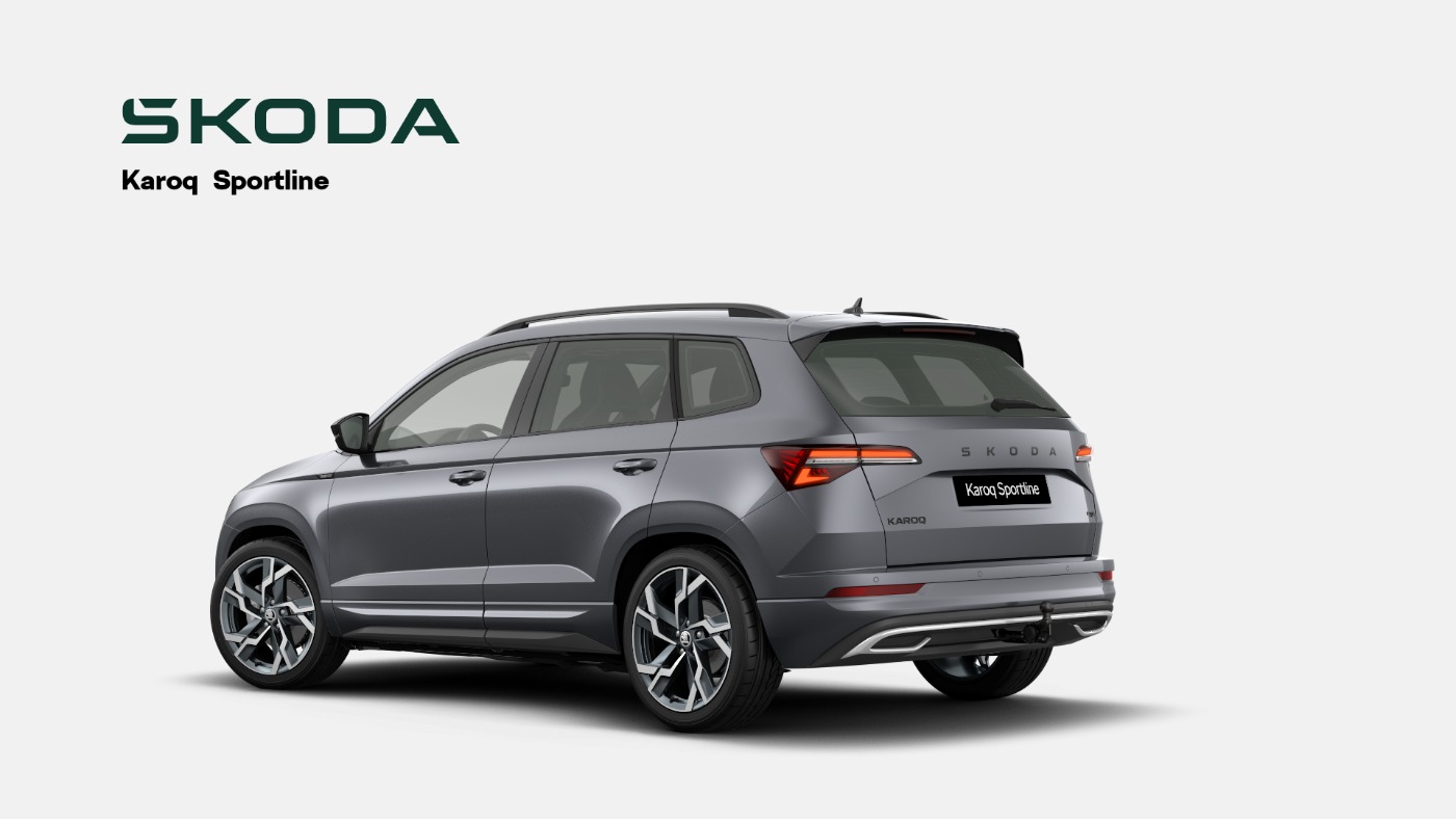 Skoda Karoq Bild 2