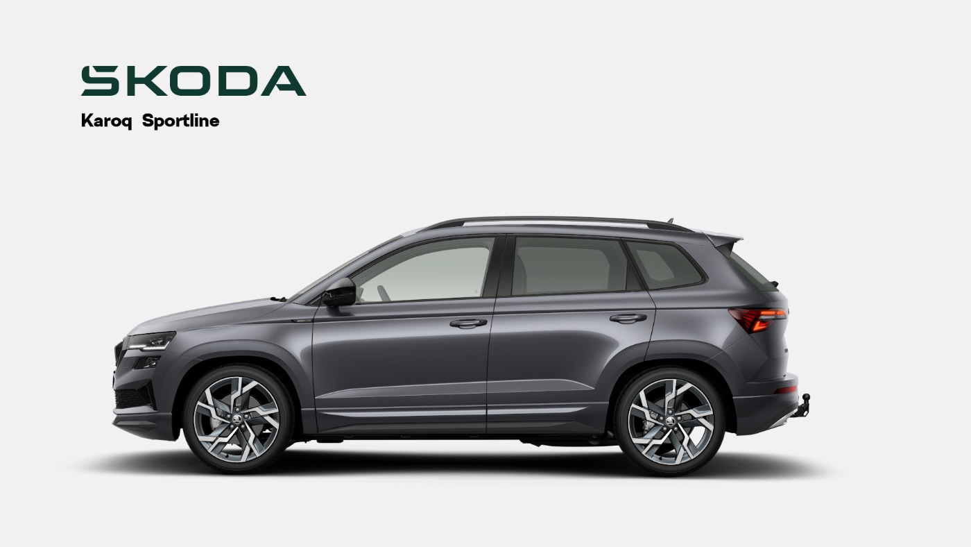 Skoda Karoq Bild 3