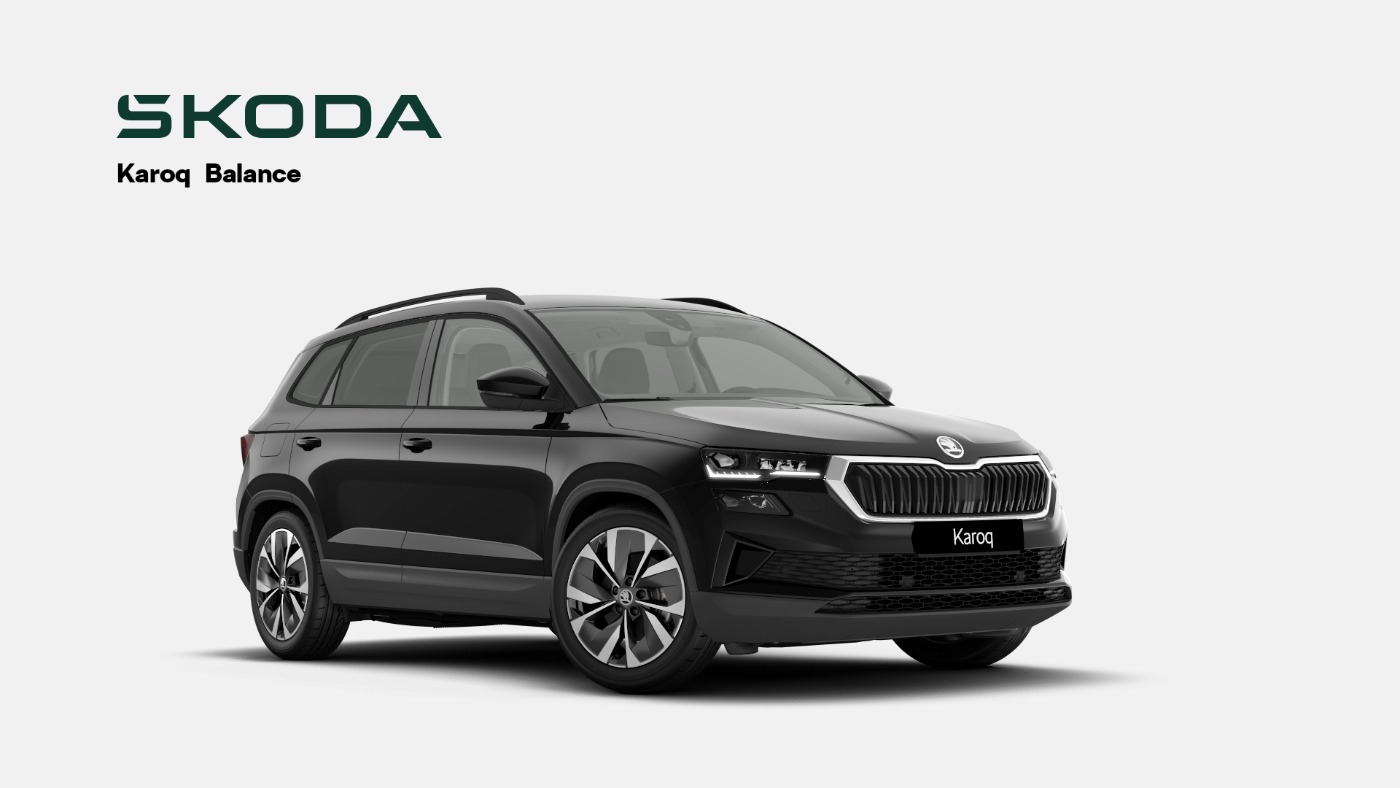 Skoda Karoq Bild 1