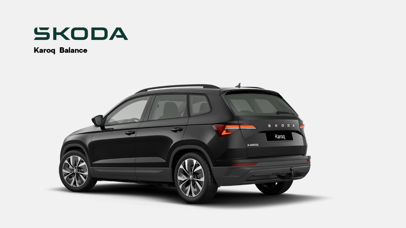 Skoda Karoq Bild 2