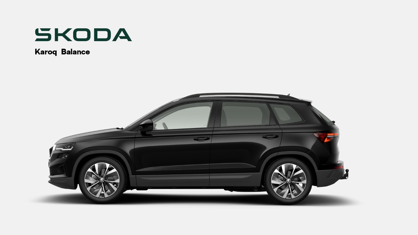 Skoda Karoq Bild 3