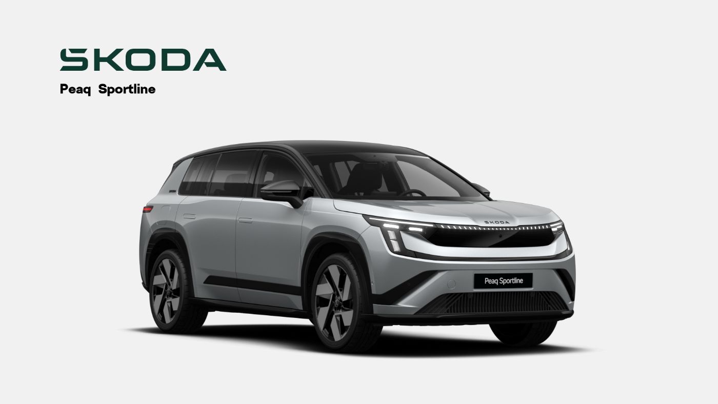 Skoda Peaq Bild 1