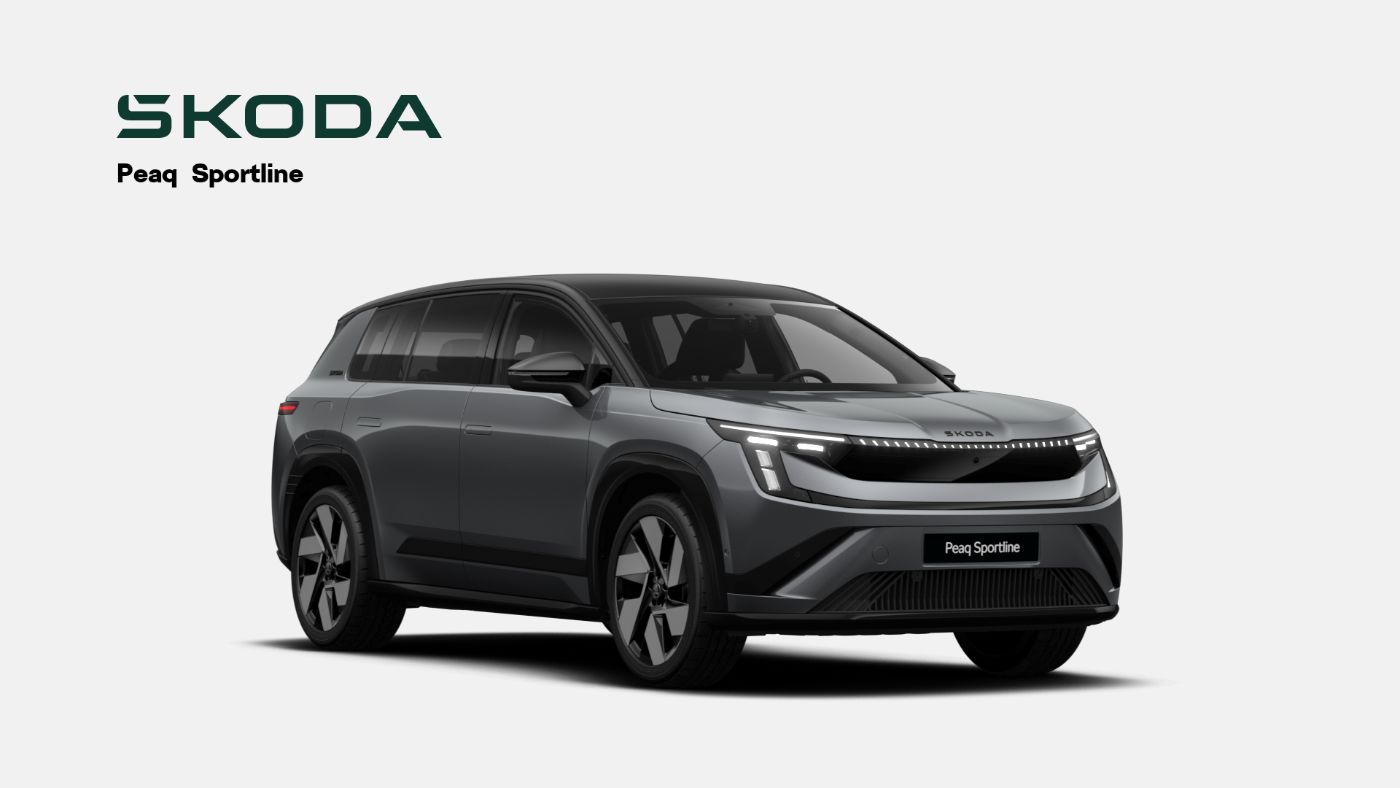 Skoda Peaq Bild 1