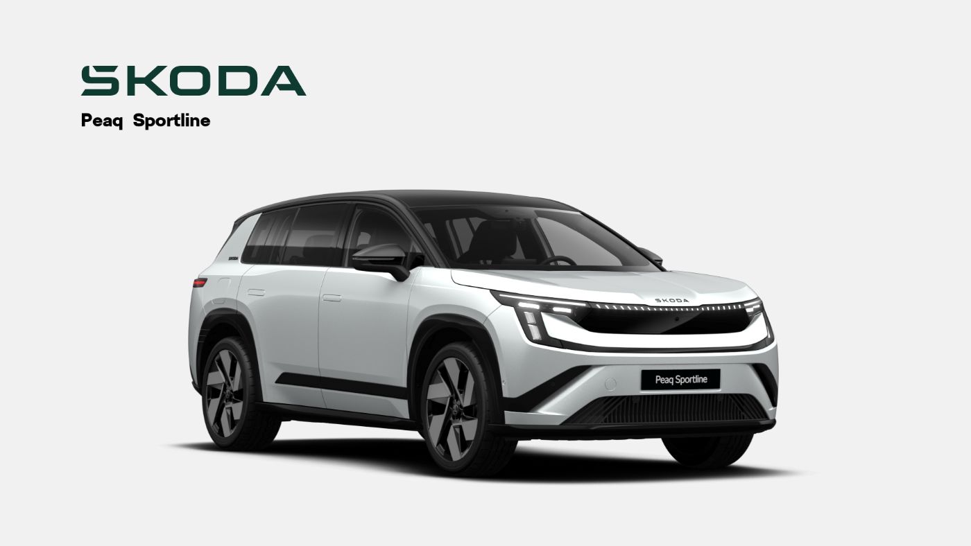 Skoda Peaq Bild 1